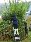 Willow Dome